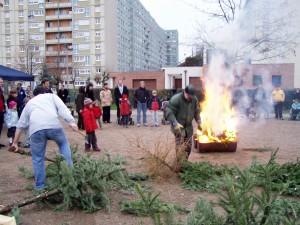 Cremationsapins070106008  